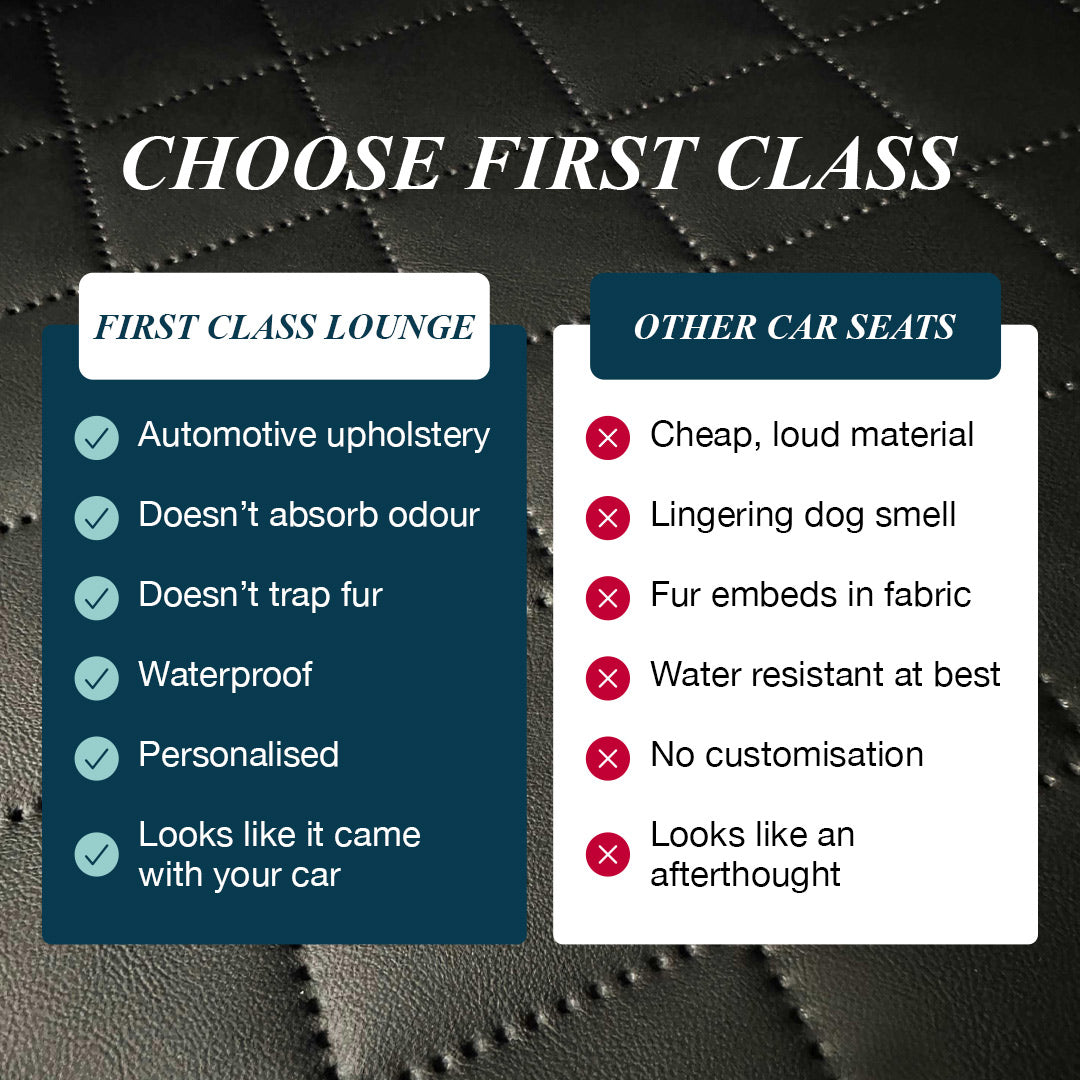 Dog Car Back Seat & Boot Seat