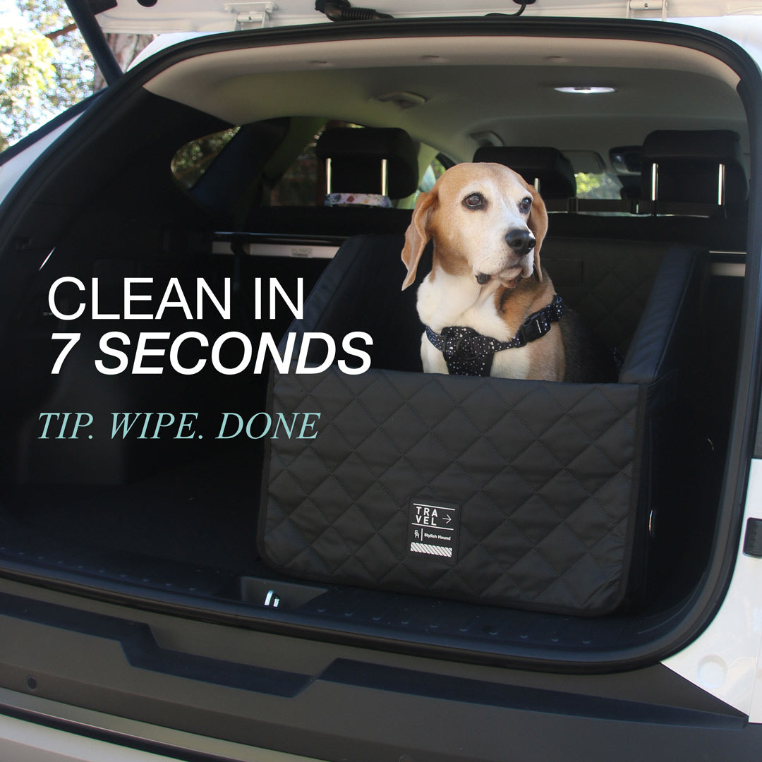 Dog Car Back Seat & Boot Seat