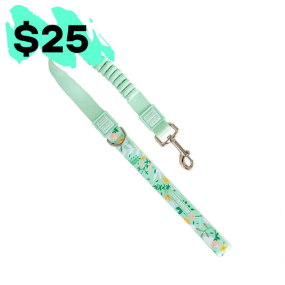 Flora CC Leash - Flora