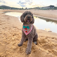 Gingerbread Bandana