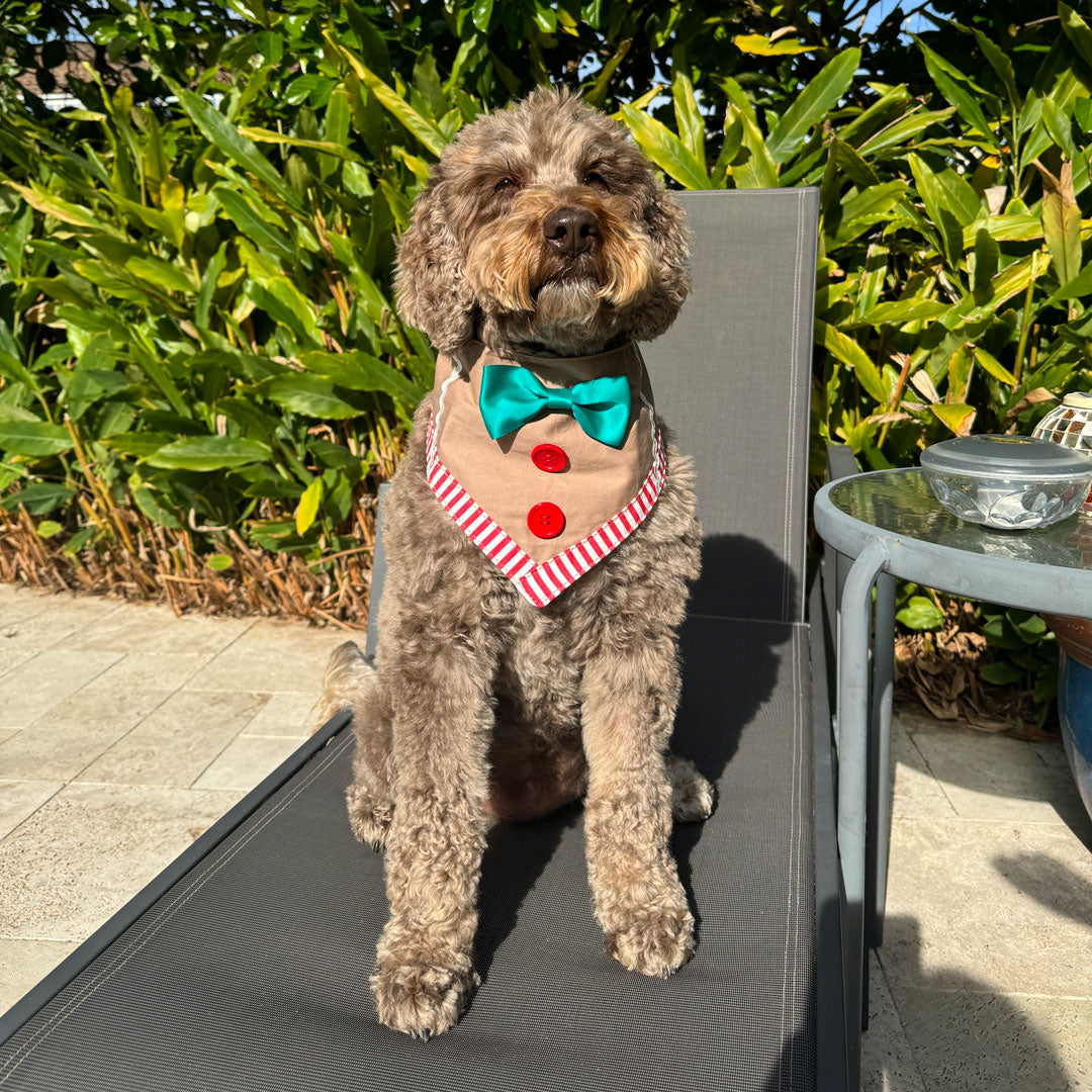 Gingerbread Bandana