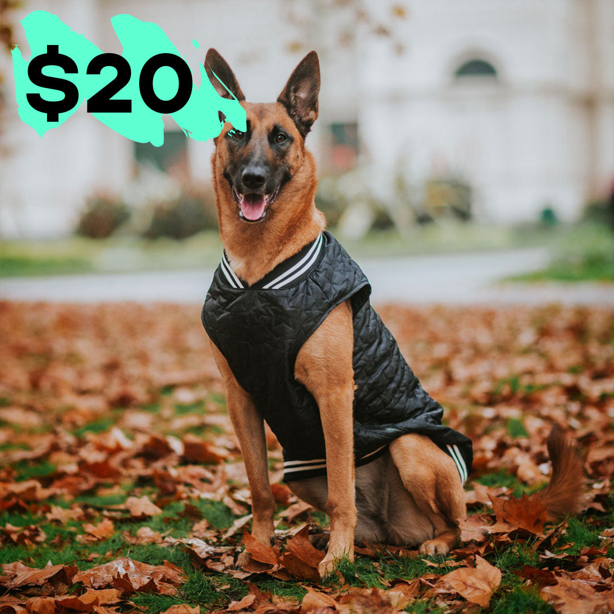 Black Grand Slam Bomber Jacket