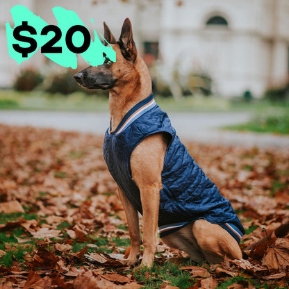 Navy Grand Slam Bomber Jacket