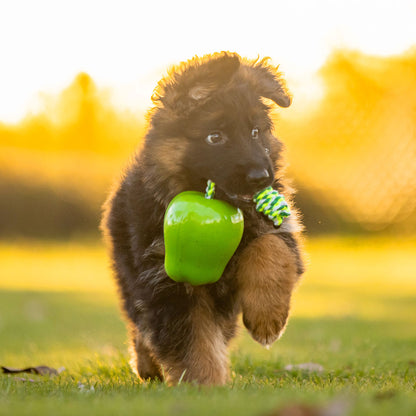 Green Apple Toy Power Chew