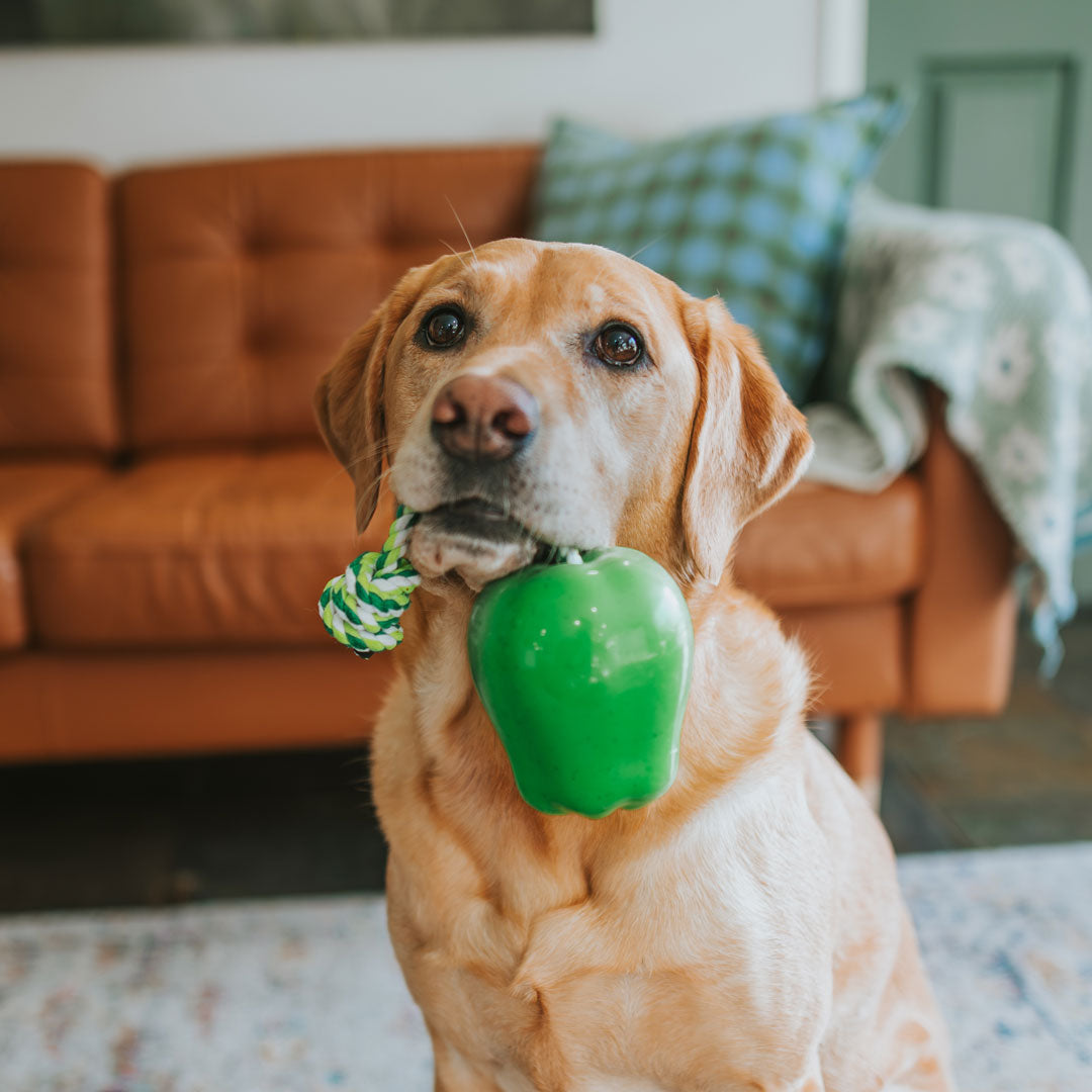 Green Apple Toy Power Chew