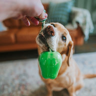 Green Apple Toy Power Chew