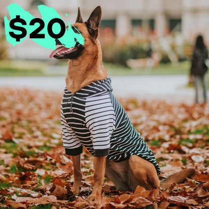 Black & White Stripe Hoodie