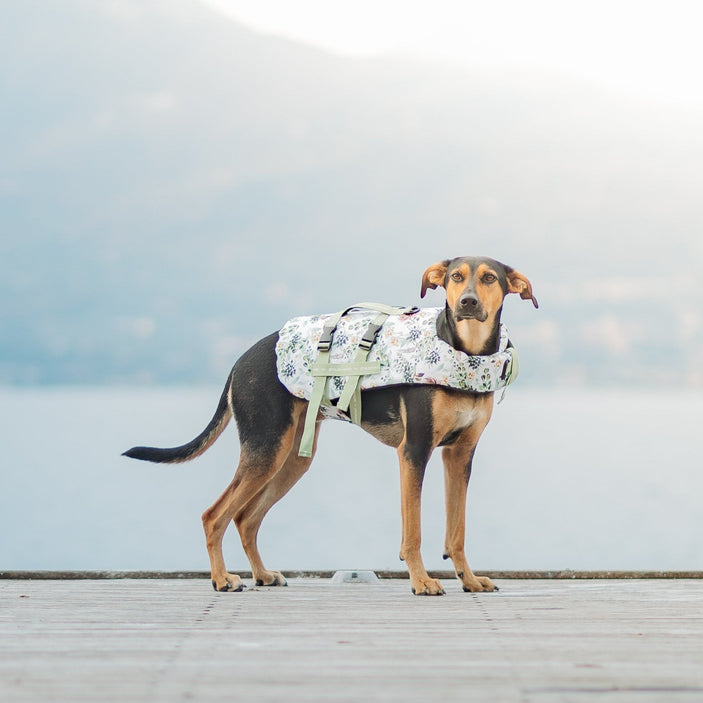 Evergreen Dog Swim Jacket