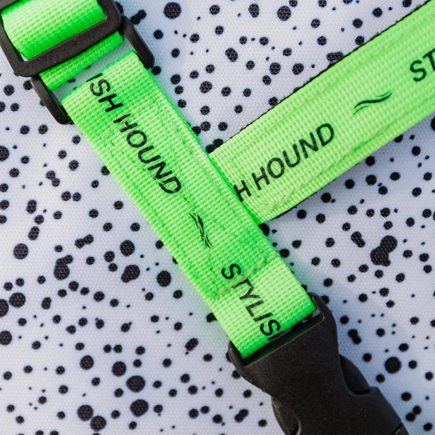 Jackson Swim Jacket - Jackson