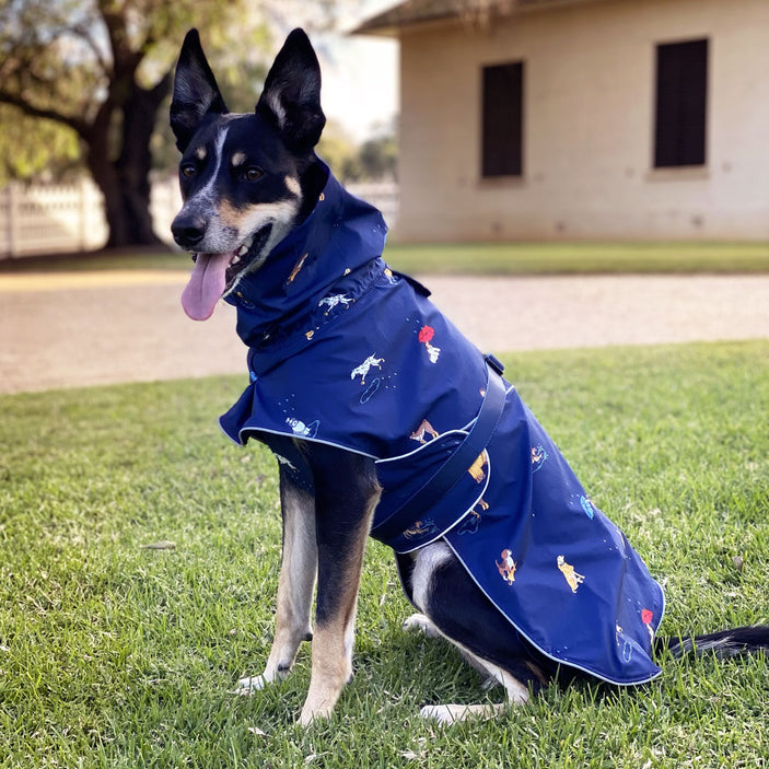 Dog Raincoat