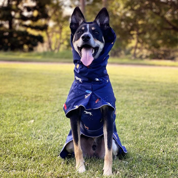 Dog Raincoat