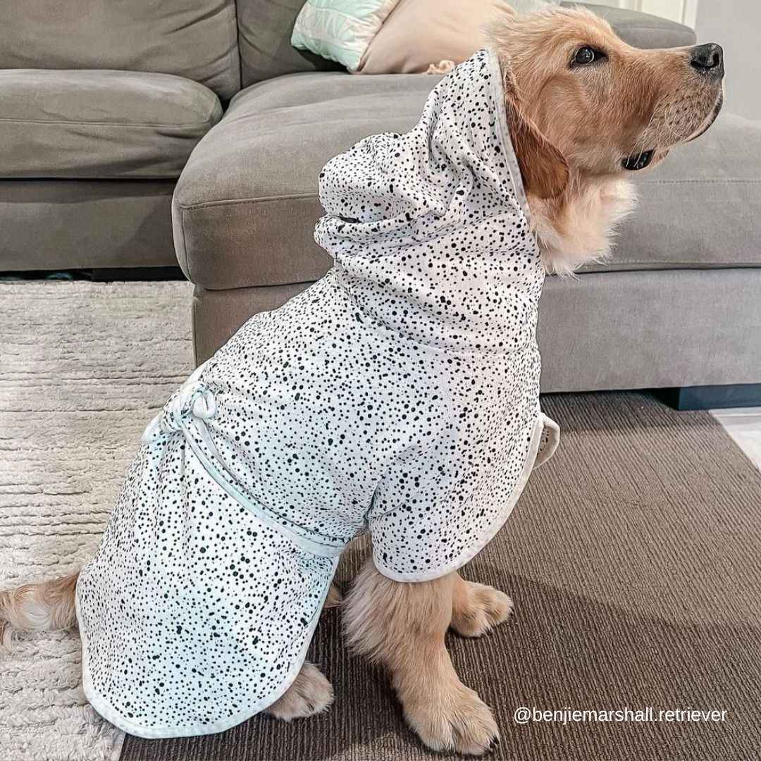 Jackson Dog Robe - Jackson