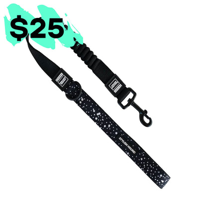 Cruise Control Obedience Leash