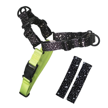 Jackson RNT No-Pull Training Harness (2.5 Series)