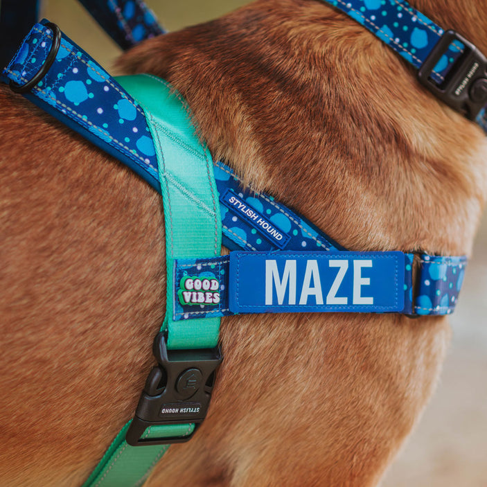 Jumbo Personalised No-Pull Harness