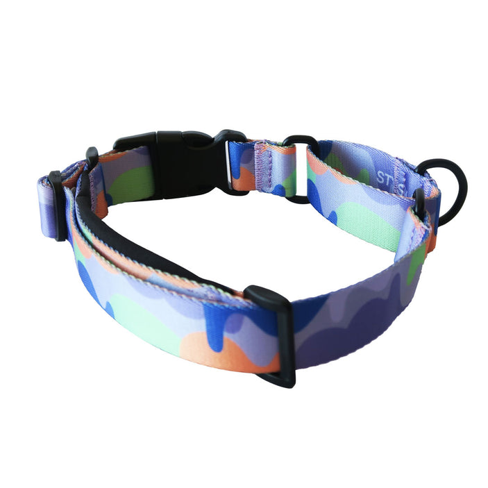 Luna Martingale Training Collar