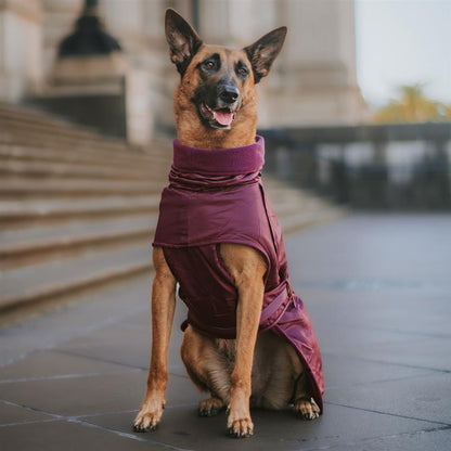 Mulberry Trench Coat