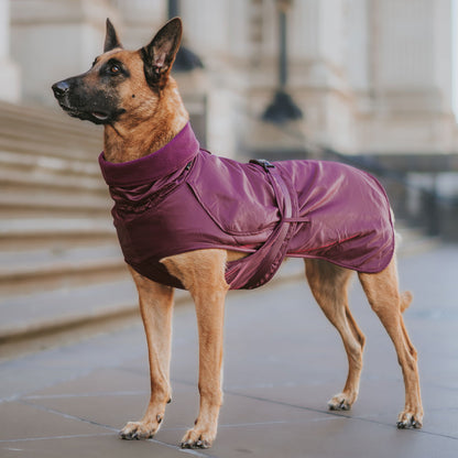 Mulberry Trench Coat