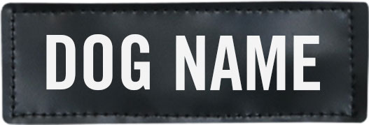 Custom Name Patch