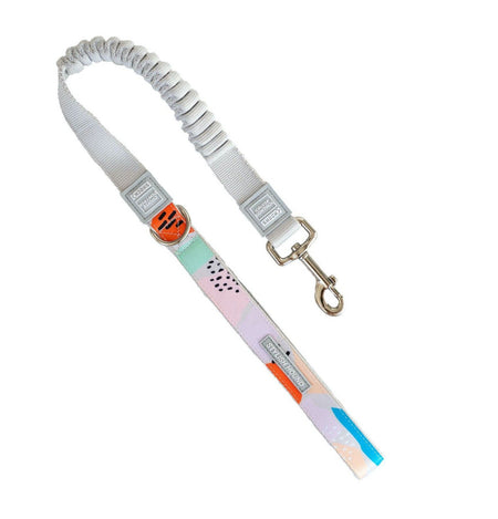 Cruise Control Obedience Leash - SALE