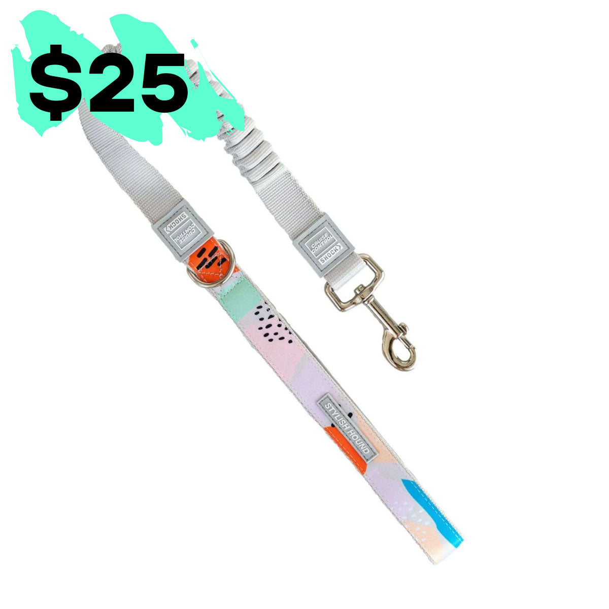 Cruise Control Obedience Leash