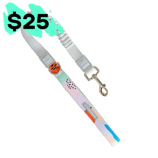 Cruise Control Obedience Leash - SALE