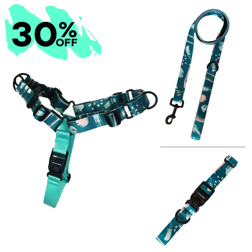 Nova Harness Bundle