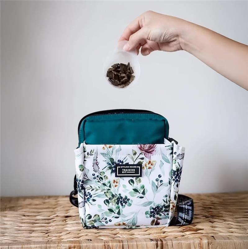 Evergreen OG Treat Pouch 2.0