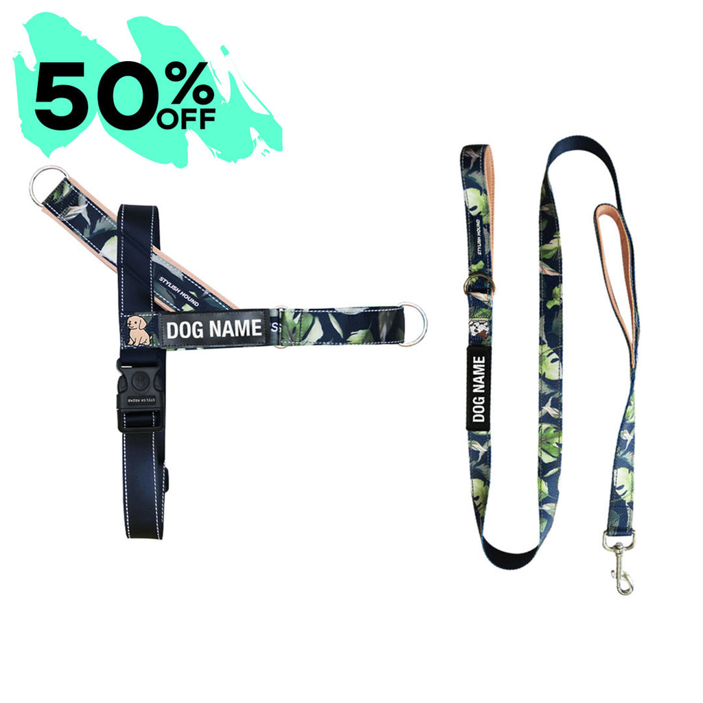 Eden Personalised No-Pull Harness