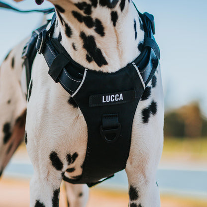 Odyssey Personalised Harness