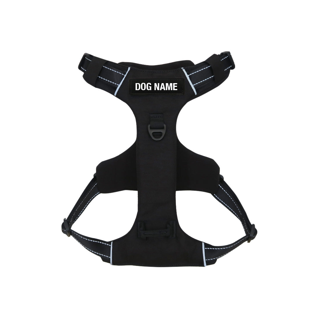 Odyssey Personalised Harness