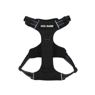 Black Odyssey Personalised Harness