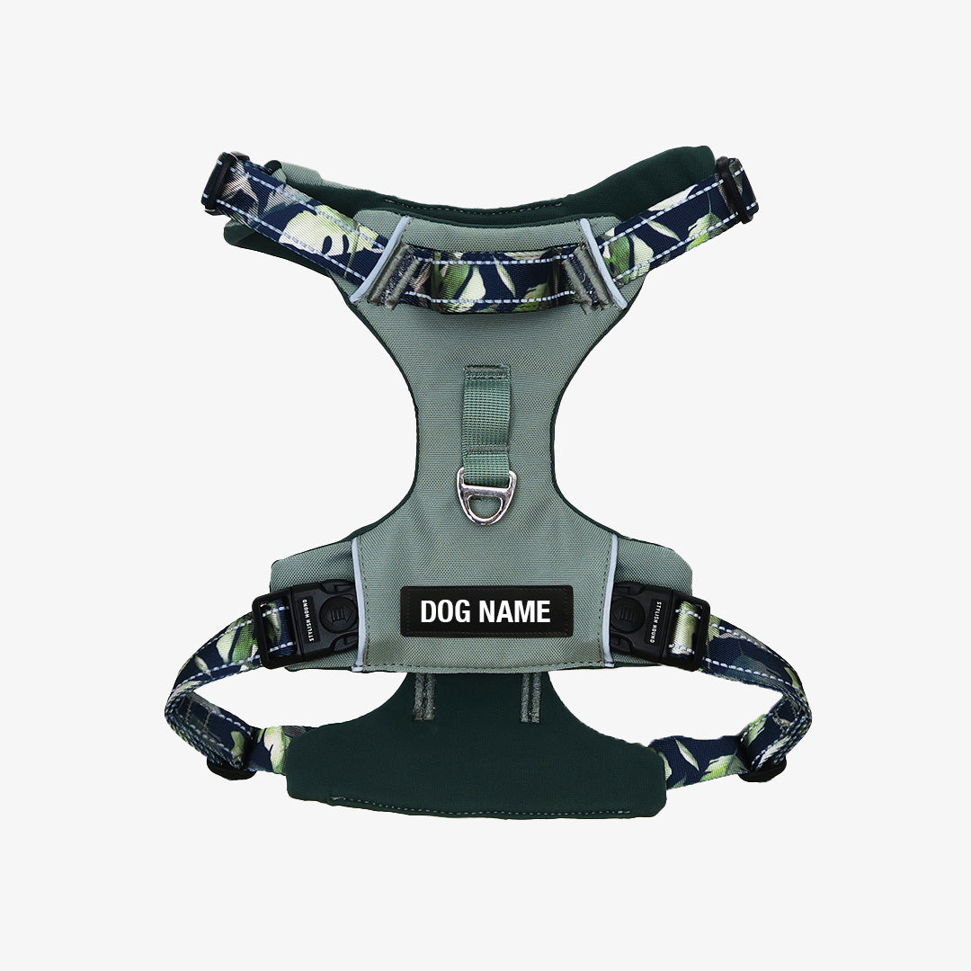 Odyssey Personalised Harness