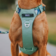 Sage Eden Odyssey Personalised Harness