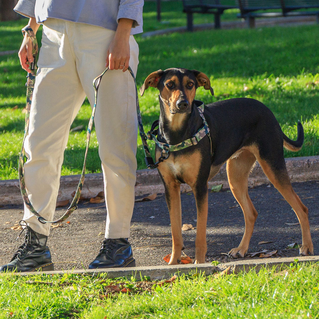 On Duty Multi-Function Leash - On Duty