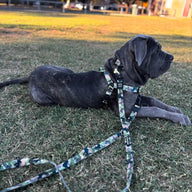 On Duty Multi-Function Leash - On Duty