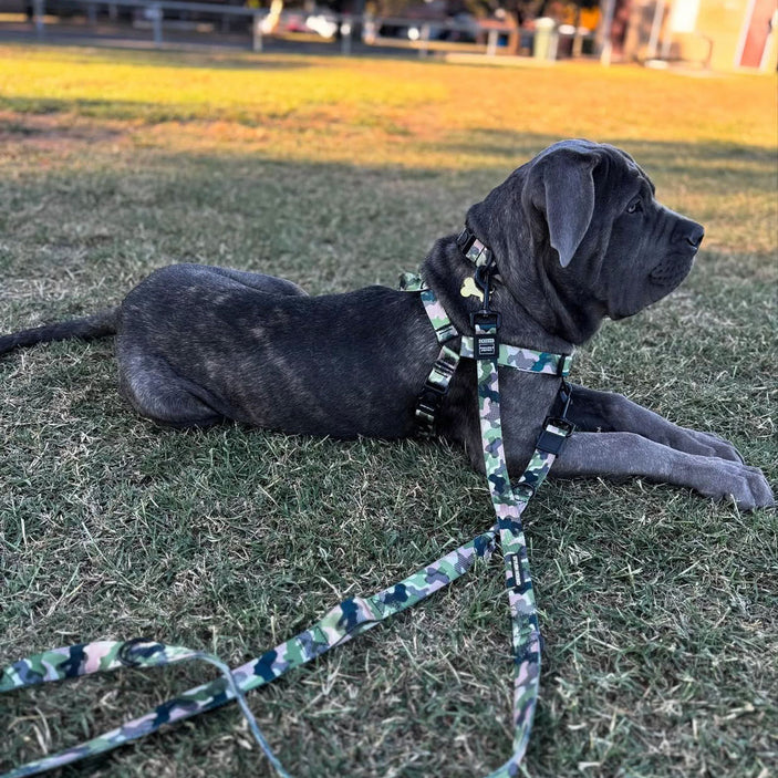 On Duty Multi-Function Leash - On Duty