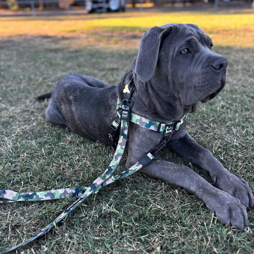 On Duty Multi-Function Leash - On Duty