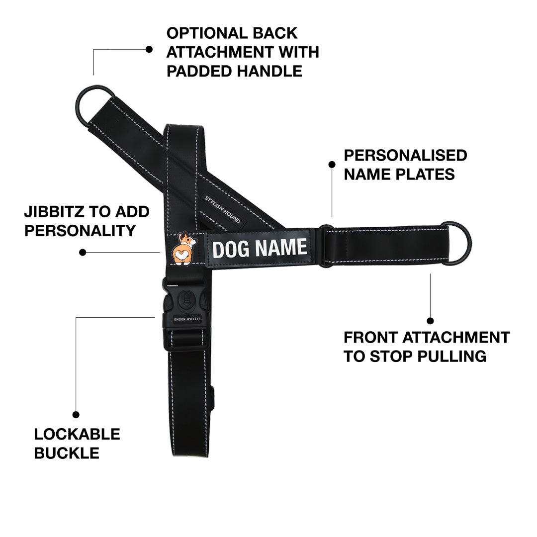 Personalised No-Pull Harness
