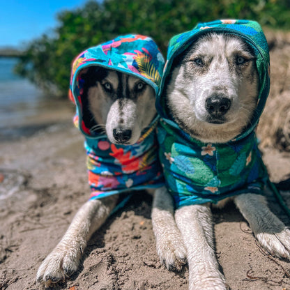 $20 Dog Robes