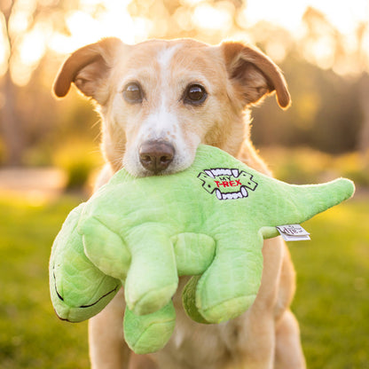 Soft Comforter Patrick the Parasaurolophus