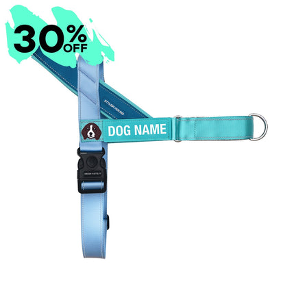 Personalised No-Pull Harness