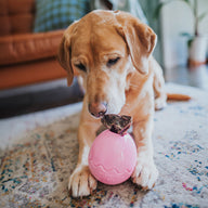 Pink Egg Rubber Food Enrichment Toy