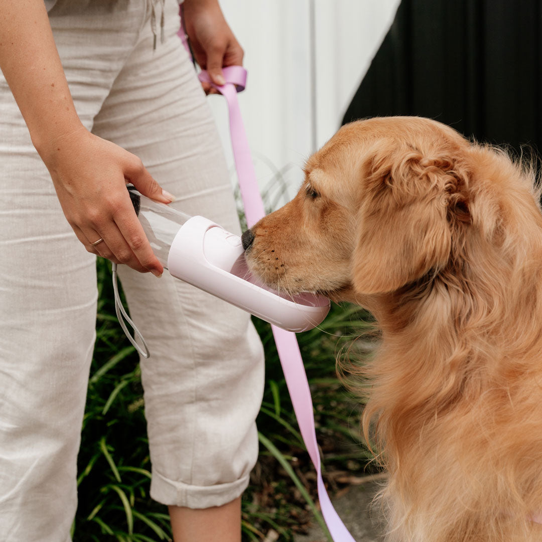 Pink Water Bottle - Pink