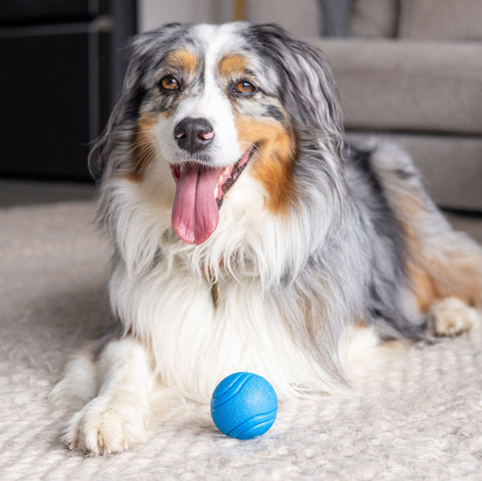 7cm Blue Rubber Tough Ball