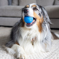 7cm Blue Rubber Tough Ball