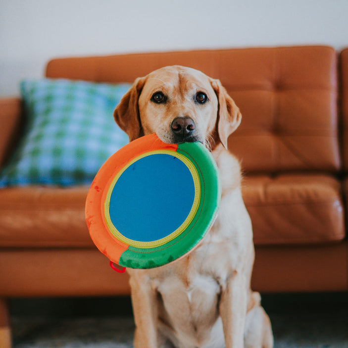 Pinwheel Frisbee Toy