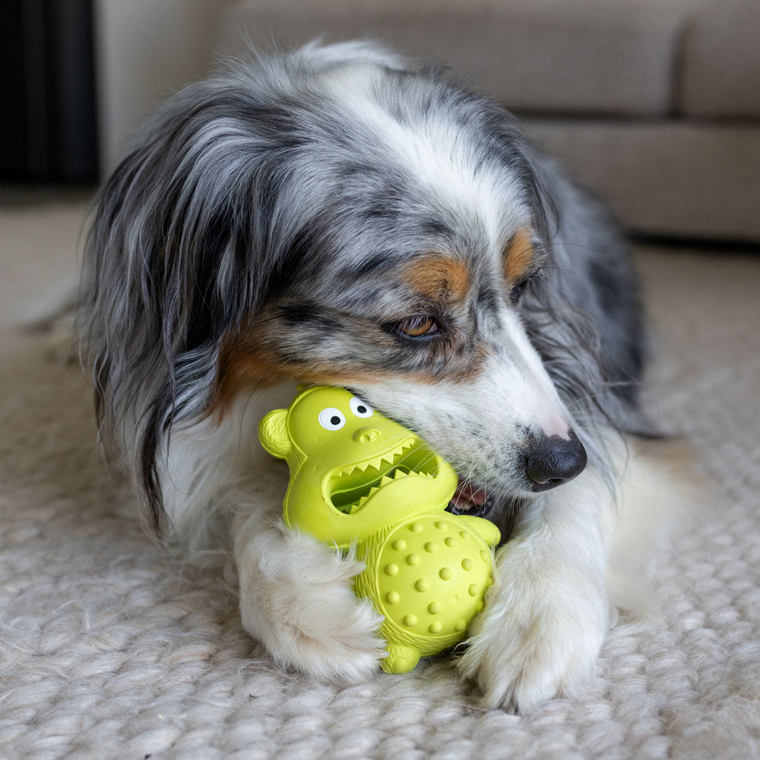 Chipmunk Squeaker Power Chew