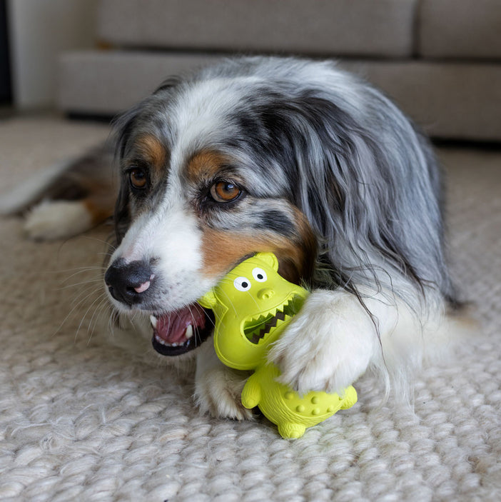 Chipmunk Squeaker Chew