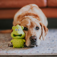 Chipmunk Squeaker Chew